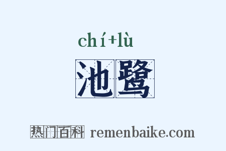 池鹭是什么意思的图片